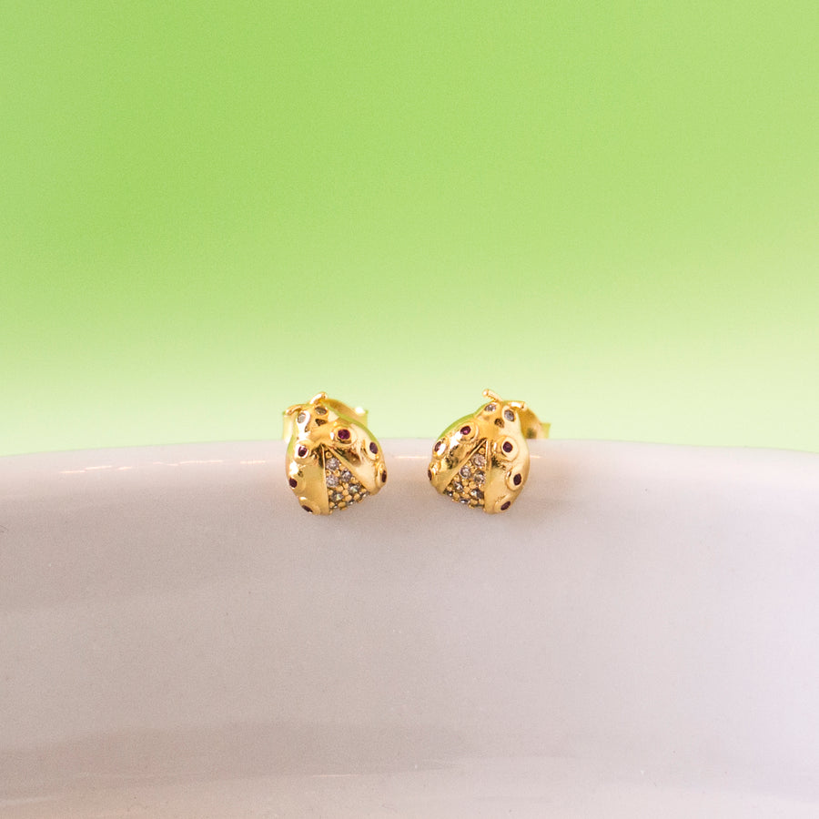Arete Lady Bug