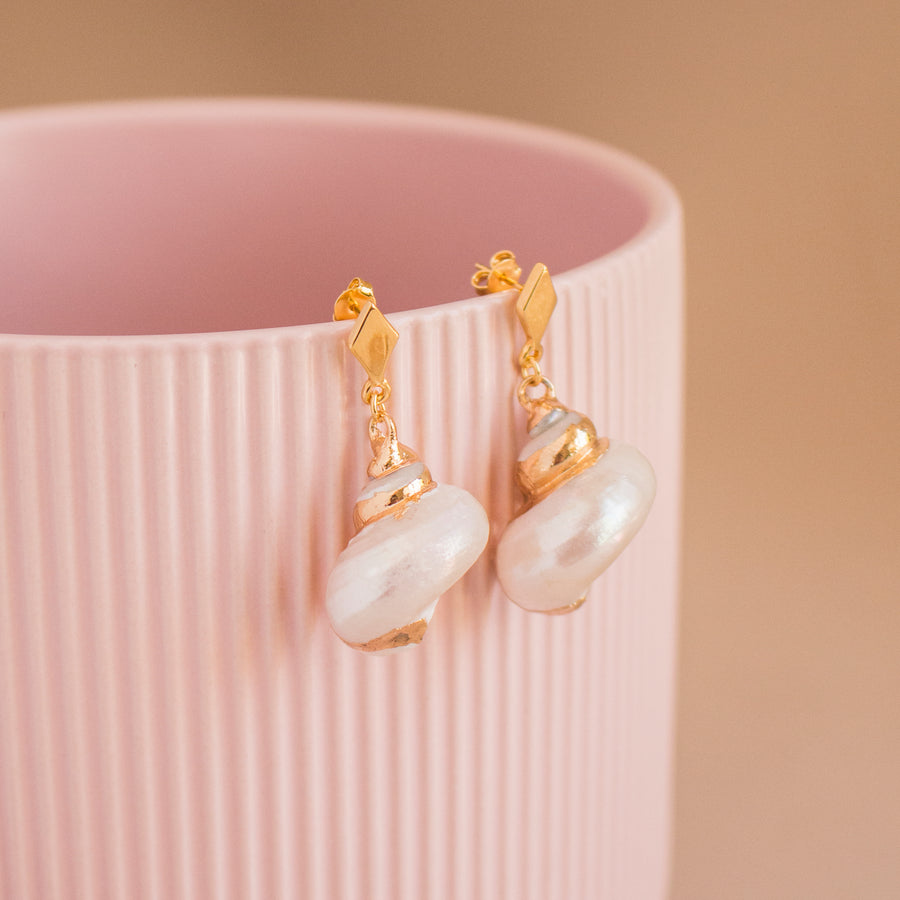 Aretes Salina
