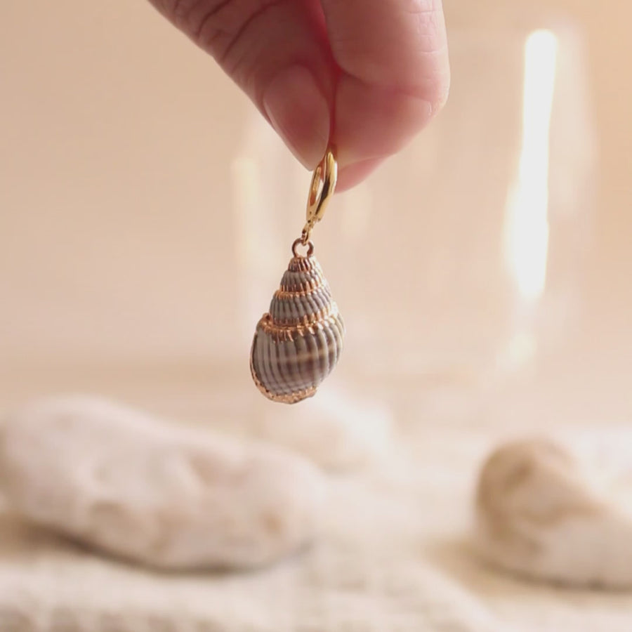 Aretes Brissa