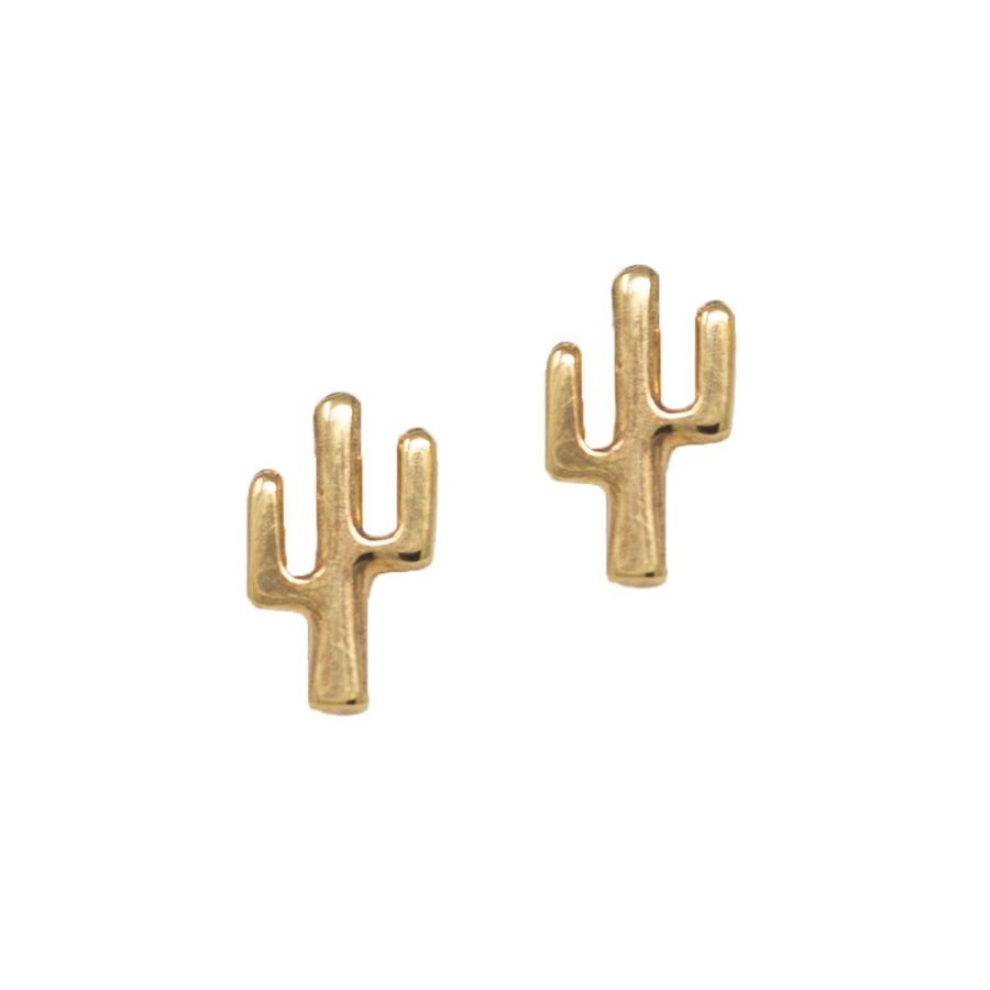 Aretes de cactus